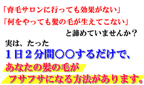 сEс@эOq12Ղ̃tTtTяp̏ڍ